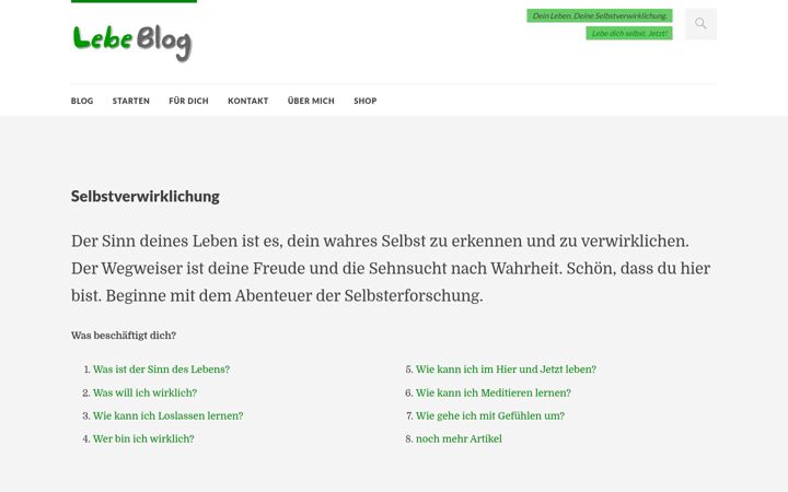 Screenshot of lebeblog.de
