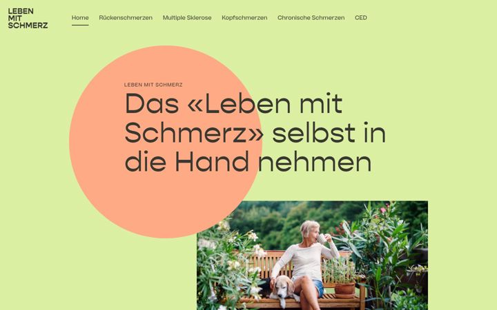 Screenshot ta' lebenmitschmerz.ch