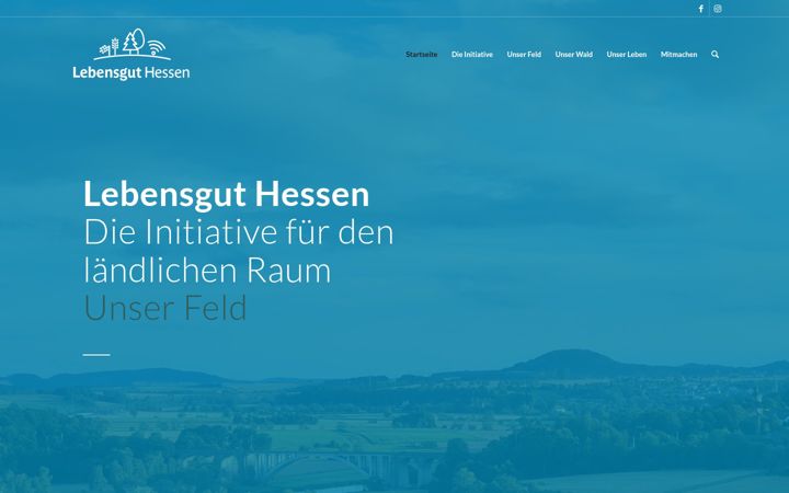 Screenshot of lebensguthessen.de