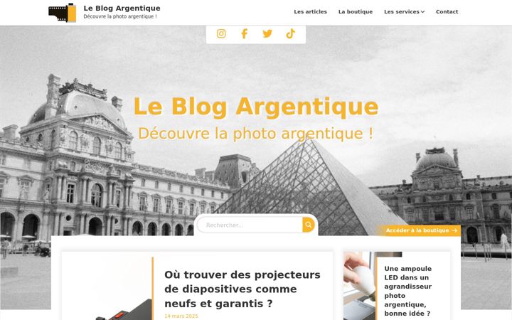 Screenshot of leblogargentique.com