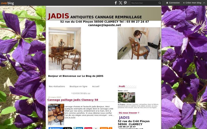 Screenshot of leblogdejadis.fr