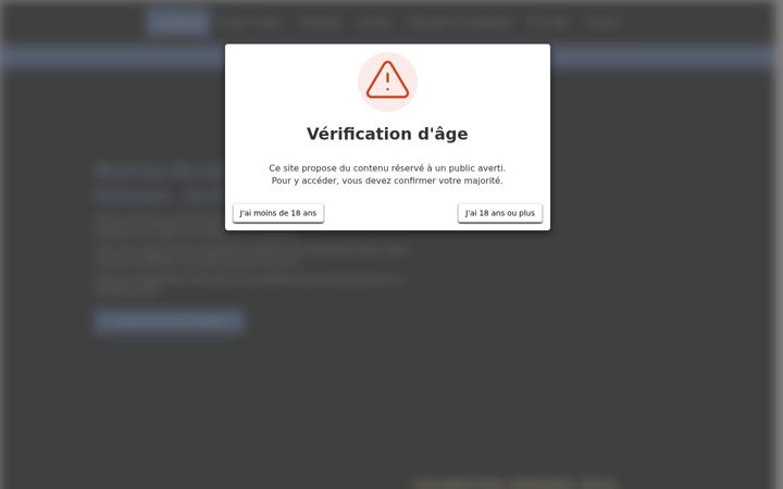 Screenshot of lecalumet17.fr