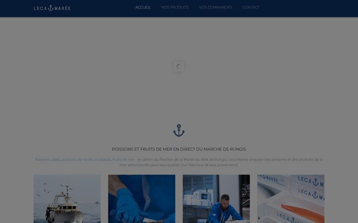 Screenshot of lecamaree.com