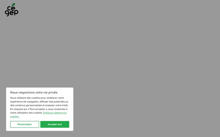 Screenshot of lecegep.ca