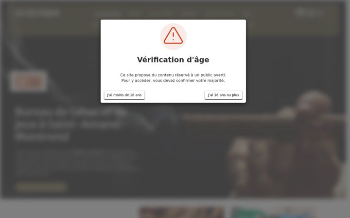 Screenshot of leceltique.fr