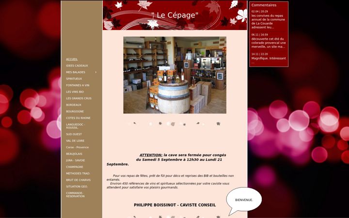 Screenshot of lecepage.fr
