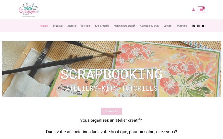 Screenshot of lechatquiscrappe.fr