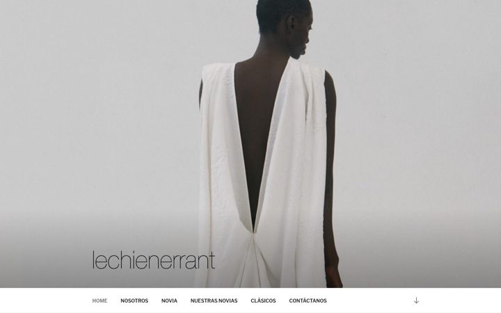 Screenshot of lechienerrant.com