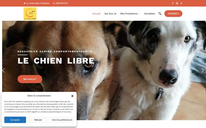 Screenshot of lechienlibre.fr