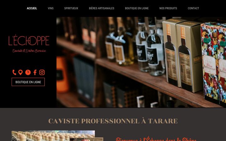 Screenshot of lechoppe-tarare.fr