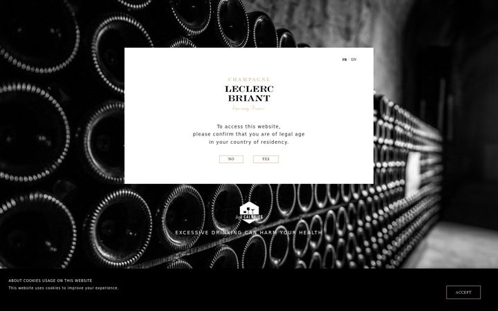 Screenshot of leclercbriant.fr