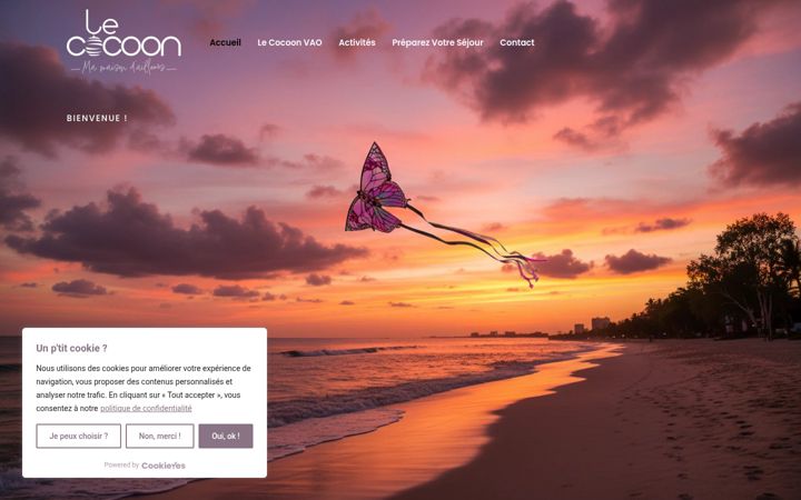 Screenshot of lecocoon-vao.fr