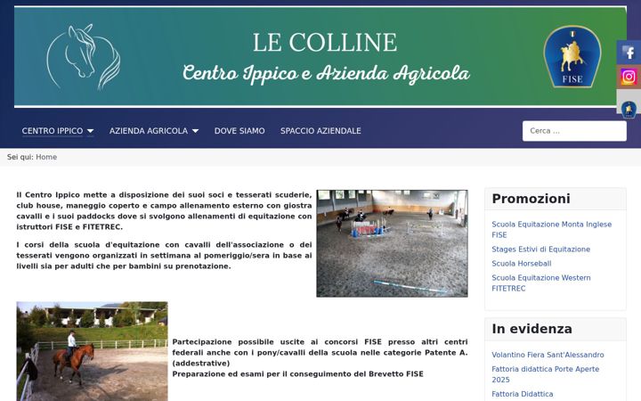 Screenshot of lecollinebergamo.it