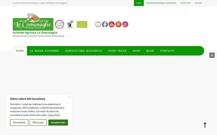 Screenshot of lecomunaglie.it