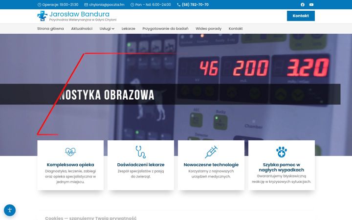 Screenshot of lecznicachylonia.pl