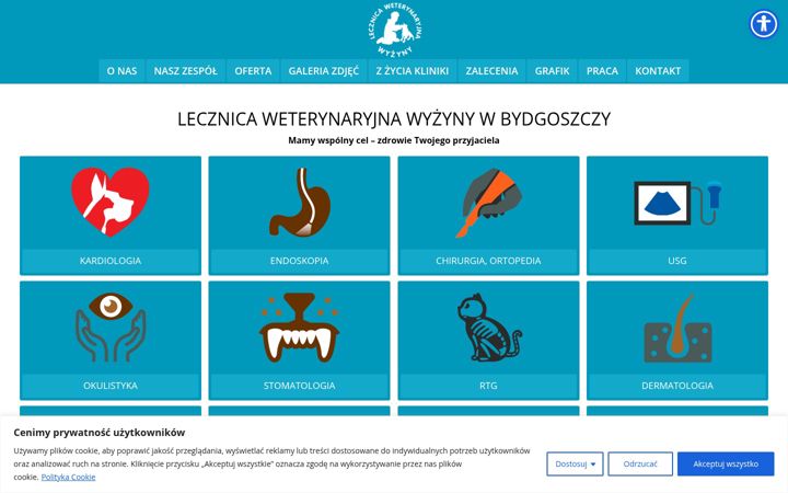 Screenshot of lecznicawyzyny.pl