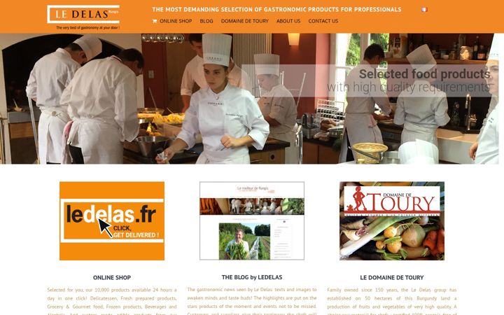 Screenshot of ledelas.fr