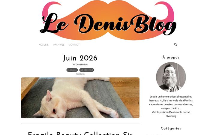 Screenshot of ledenisblog.net
