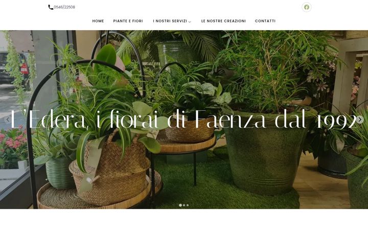 Screenshot of lederafaenza.it