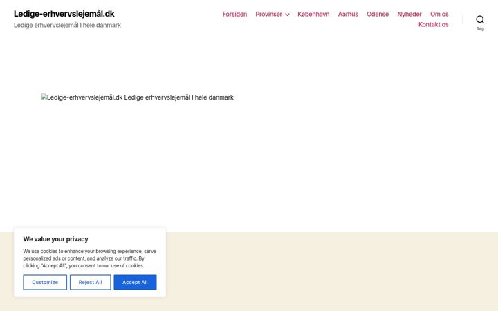 Screenshot of ledige-erhvervslejemaal.dk