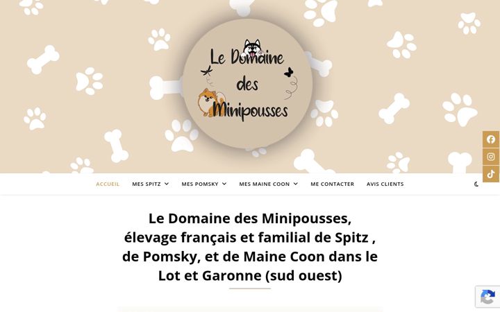 Screenshot of ledomainedesminipousses.com