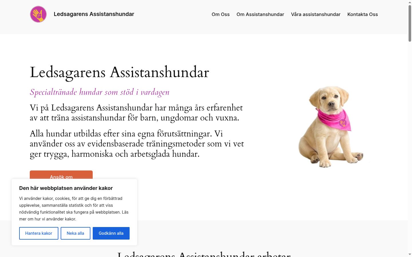 Skærmbillede af samtykkebanneret, som det blev vist før nogen interaktion