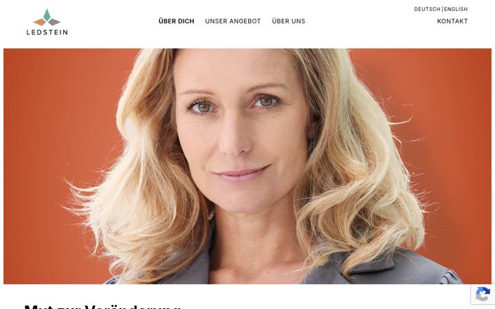 Screenshot of ledstein.com