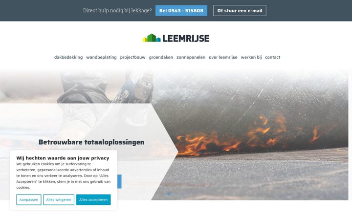 Screenshot of leemrijse.nl
