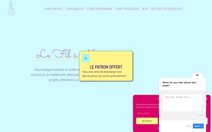 Screenshot of lefilananas.fr