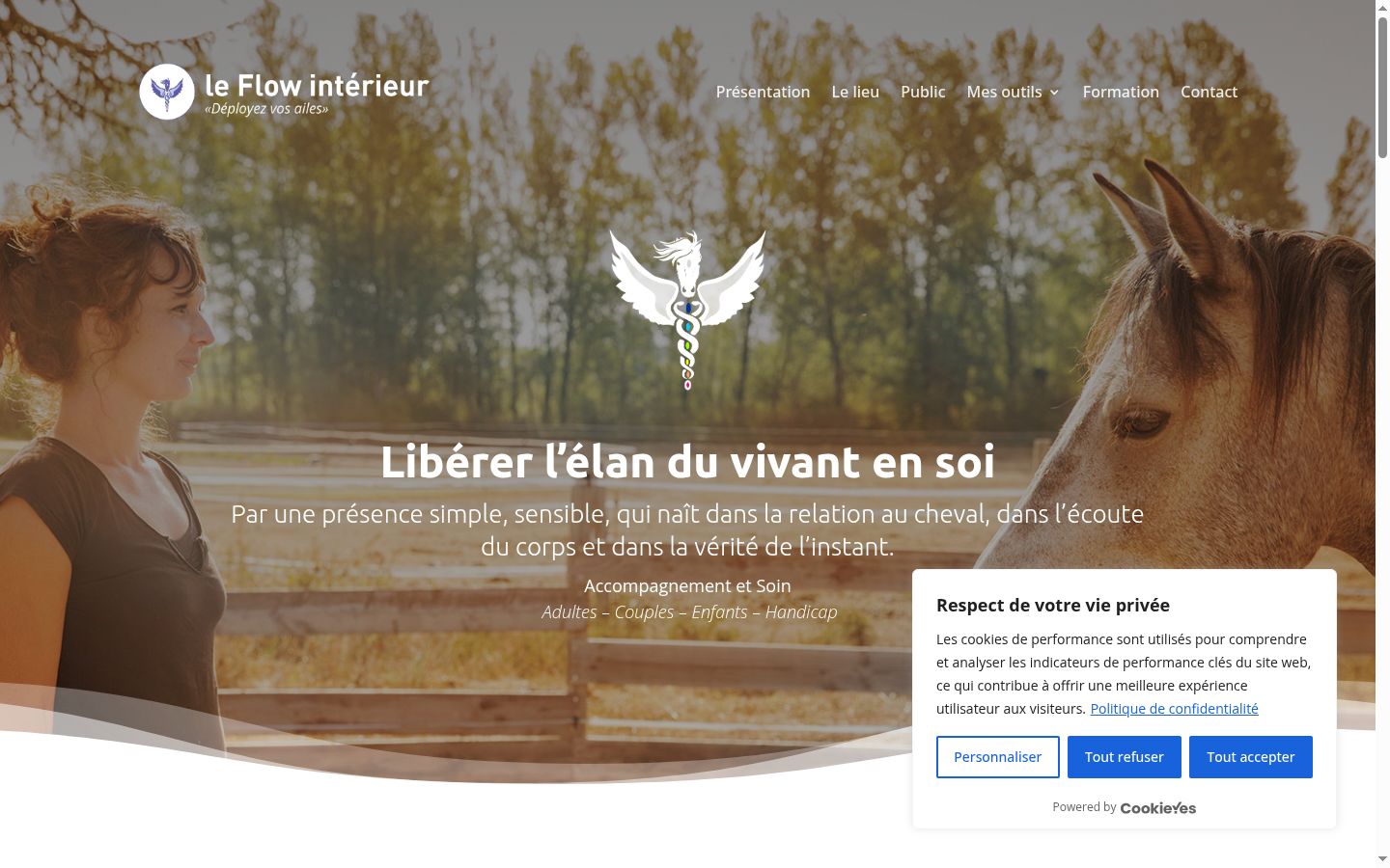 Sutikimo reklamjuostės, rodytos prieš bet kokią sąveiką, ekrano kopija