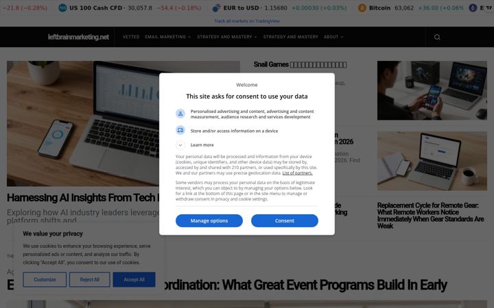 Screenshot of leftbrainmarketing.net