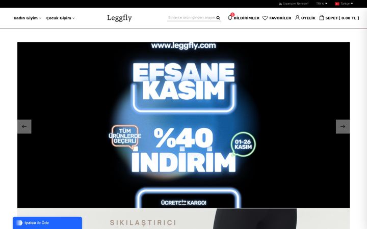 Screenshot of leggfly.com