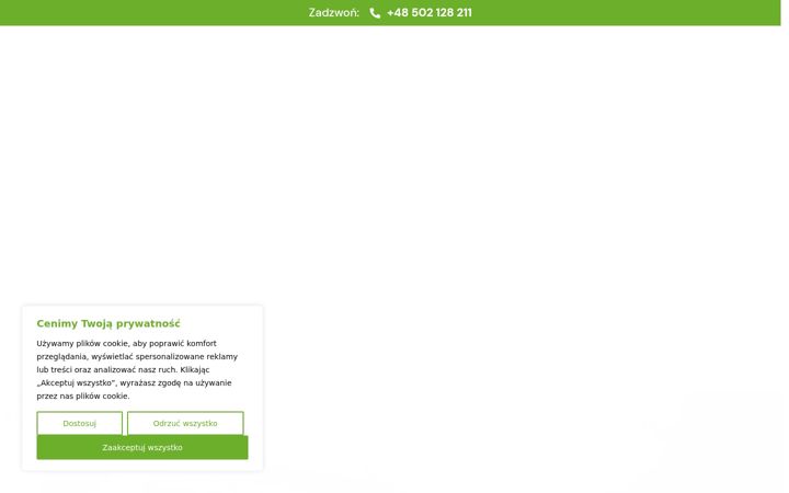 Screenshot of legionistow.pl