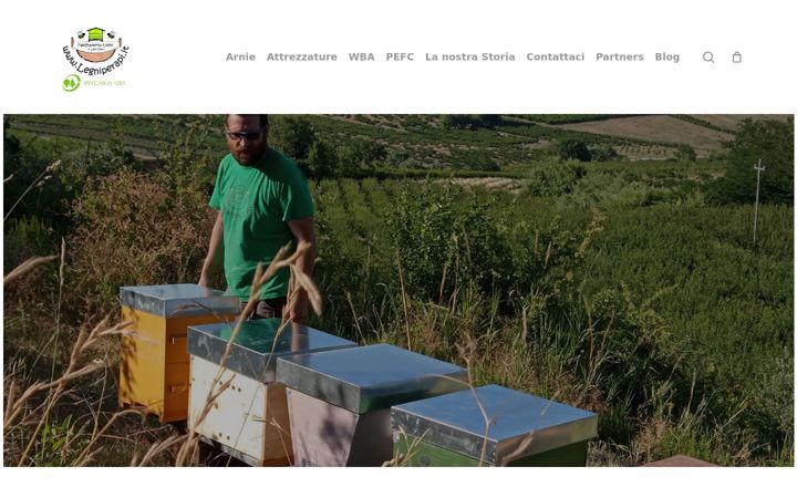 Screenshot of legniperapi.it