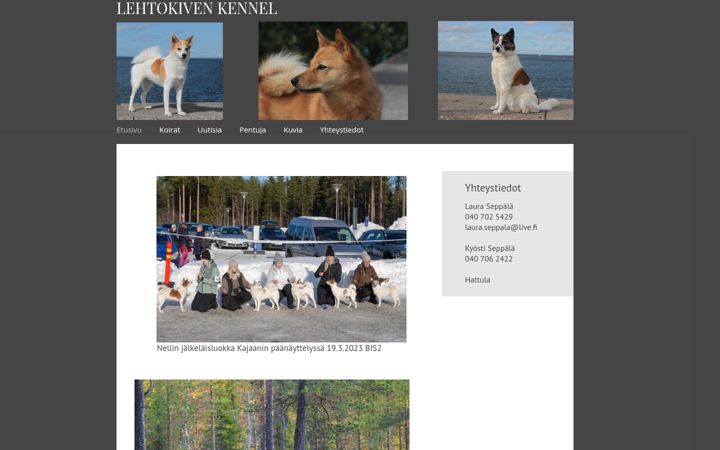 Screenshot of lehtokiven.com