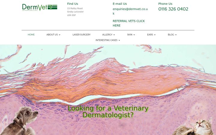 Screenshot of leicesterskinvet.co.uk