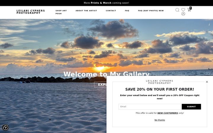 Screenshot of leilanicyphers.com