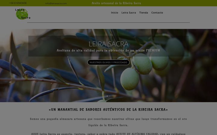 Screenshot of leirasacra.com