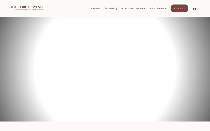 Screenshot of leiregoyeneche.com