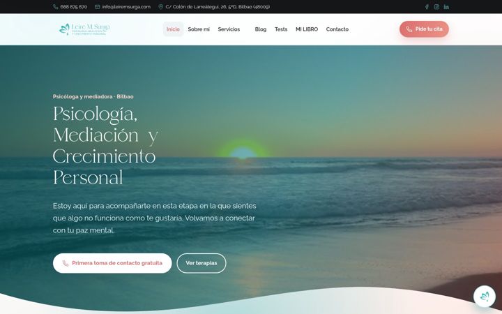 Screenshot of leiremsurga.com