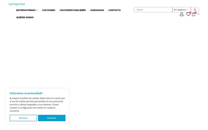 Screenshot of leirispumas.es