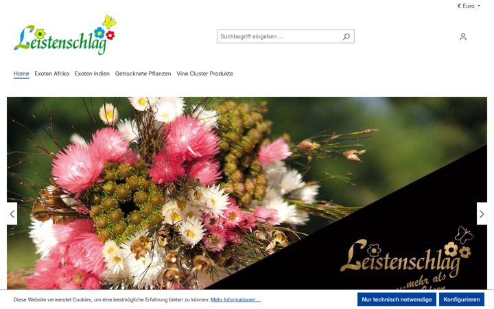 Screenshot of leistenschlag.com