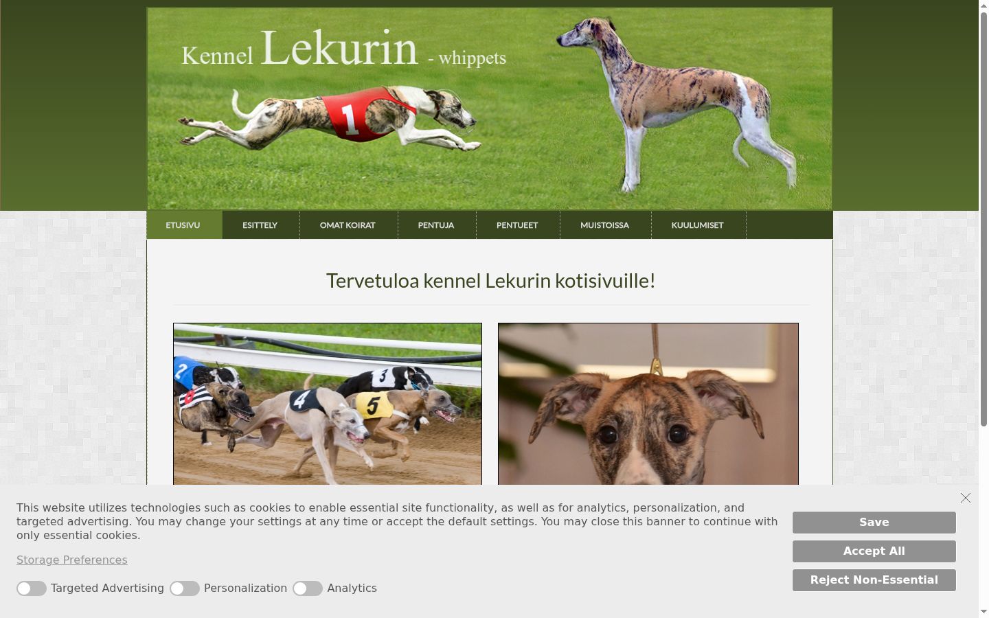 Skärmbild av samtyckesbannern som visades före någon interaktion