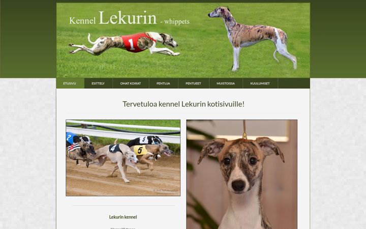 Screenshot of lekurin.com