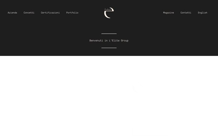 Screenshot of lelitegroup.com