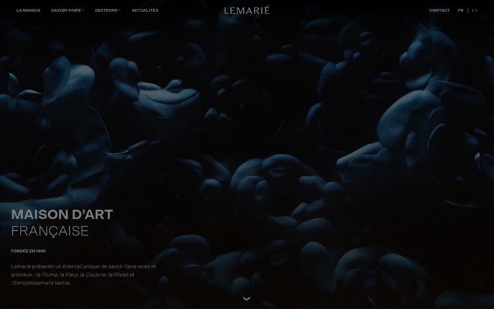 Screenshot of lemarie-paris.com