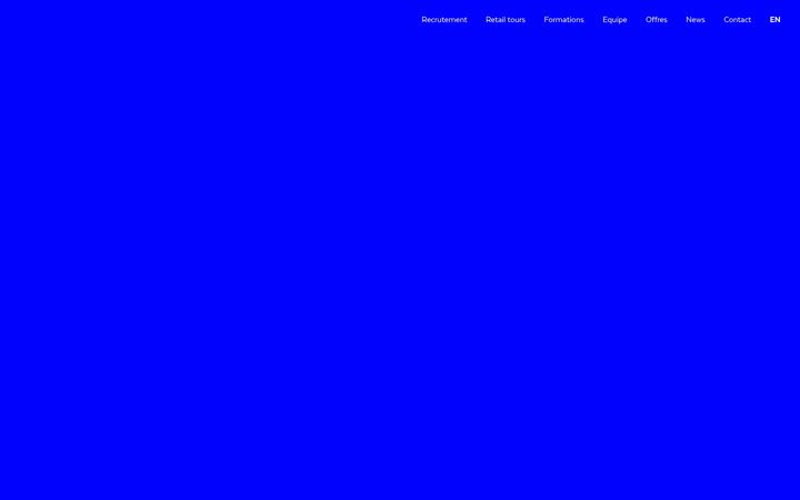 Screenshot of lemensandpartners.com