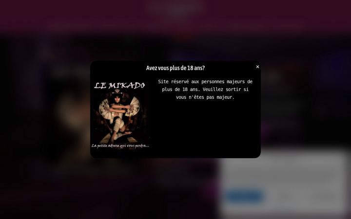 Screenshot of lemikado.net