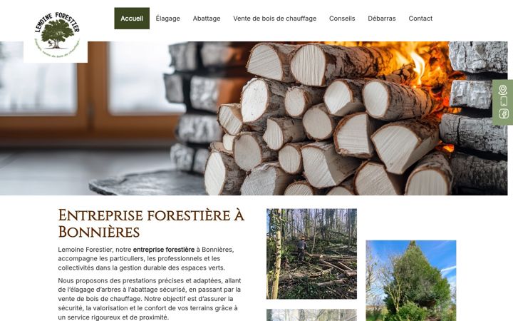 Screenshot of lemoineforestier.fr