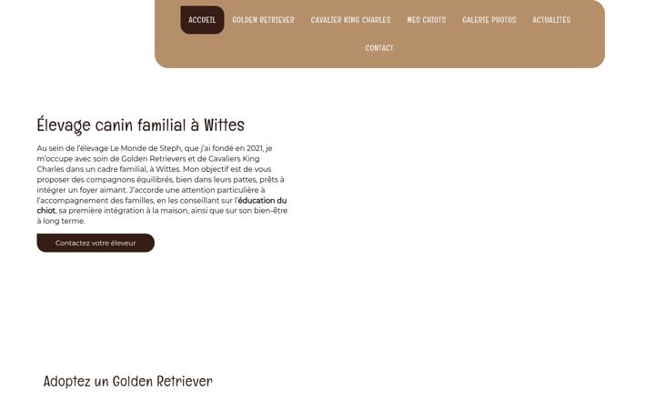 Screenshot of lemondedesteph.fr
